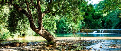 Landschaft des Gebietes La Sénia