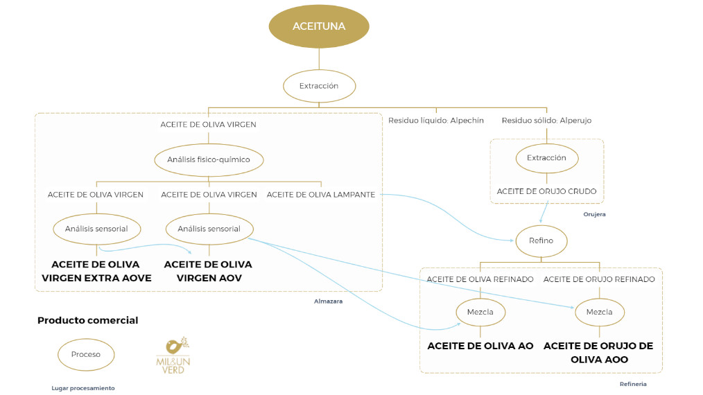 Relación entre procesos y productos comerciales procedentes de la Oliva